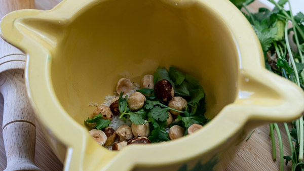 hazelnuts and cilantro in a mortar to make pesto